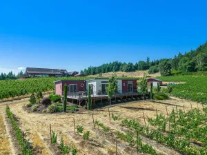 Image of Vineyard Stay at Bryn Mawr the “Right Amount of Everything”