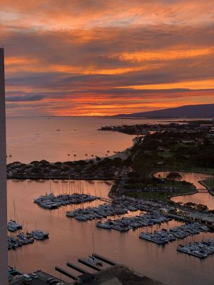 Image of Waikiki Forever Ocean View w\/Parking