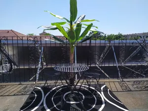 Image of 2 rooms, Terrace 18 m2, near Strasbourg