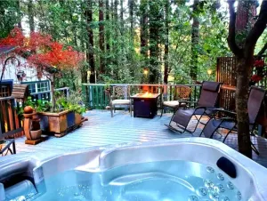 Image of Guerneville Cottage! Redwoods! Hot Tub! Fire Table! Fast WiFi!! Serenity Defined!
