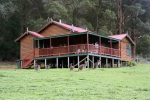 Image of Retreat to paradise, in the heart of the towering karri forests!
