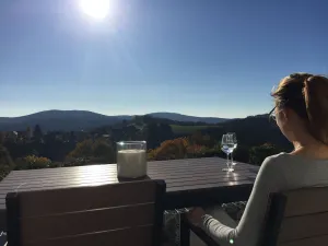 Image of Enjoy the fantastic view with a fireplace and terrace