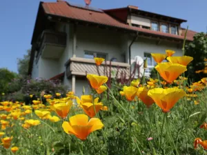 Image of Ferienwohnung Haus Doris