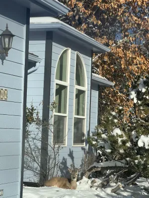 Image of Large family sized home centrally located with stunning views.