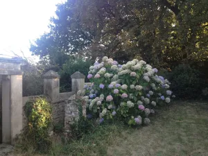Image of Charming old quiet house with garden - Village and sea on foot