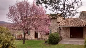 Image of Small Provencal mas in local stone surrounded by nature.