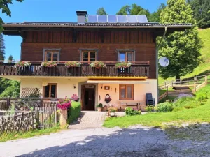 Image of Apartment Dachstein by Interhome