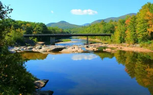 Image of Pristine Loon Condo#2-King\/Queen\/Bunk Beds-In&Outdoor Pools,Gym,Wifi,Town Center