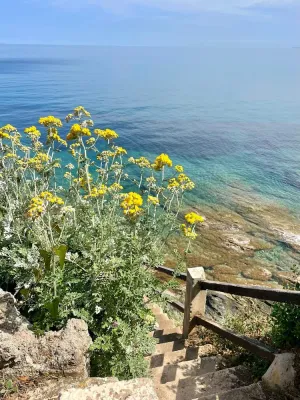 Image of SEASIDE VILLA. PRIVATE SEA ACCESS. IDEAL FOR FAMILIES AND FRIENDS