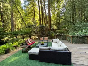 Image of Nestled in the Redwoods, Easy Walk Downtown, Close to SF and Wine Country