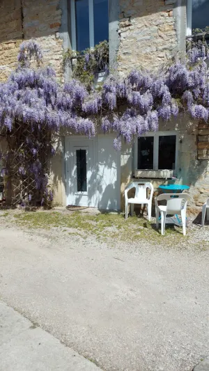 Image of Charmant Studio au Bord D'un Petit Ruisseau
