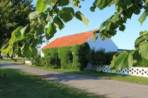 Image of Holiday house Nieuwvliet for 1 - 7 persons with 4 bedrooms - Holiday house