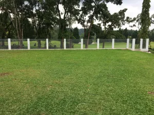 Image of Ode to Joy