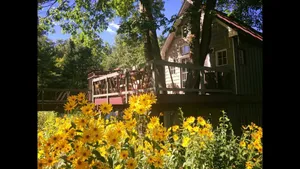 Image of Tree house  lots birds  great location . ..... lots to do all summer long ......