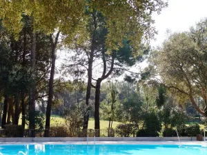 Image of Studio - MOLIETS ET MAA