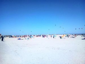 Image of 47.0.M Seestern - Sunny first floor apartment directly on the dog beach, free laundry packages