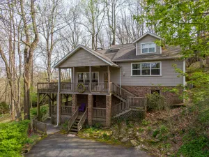 Image of A Treetop Escape