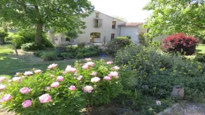 Image of House in Forcalquier, Pleine Nature, view of the Alps, ideal for friends and family
