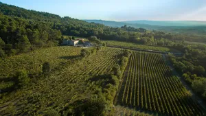 Image of Gîte du Vignoble Château Saint Pons in the Luberon Natural Park