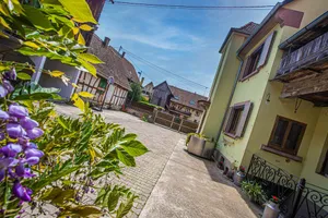Image of Grand Gîte Jusqu'à 14 Personnes Prox Europapark