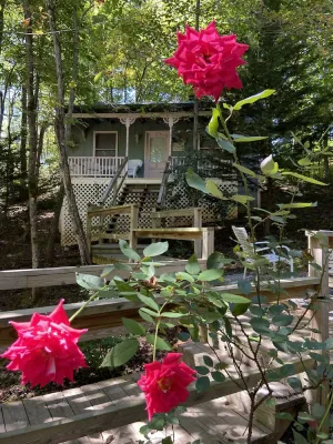 Image of Escape to a Pet-Friendly Cabin near Helen, Blue Ridge & Appalachian Trail