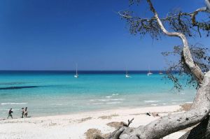 Image of house \/ villa - SAINT FLORENT