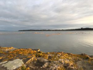 Image of Studio in Baie de St Brieuc
