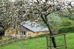 Image of La Bergerie du Martinaa - Gite for 10 -Pet park - Heated swimming pool