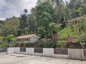 Image of M3 Homes