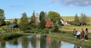 Image of Charming Country Farm Stay with Spectacular Views and Fun!