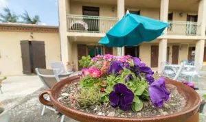Image of Apartment 100 m2 full foot large terrace overlooking wooded garden