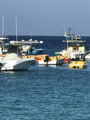 Image of Catalina Charmer - Steps from the Water !!!