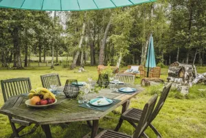 Image of In the heart of nature, property 15 minutes from Chateau de Chambord!