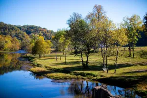 Image of Watauga River Cottage in Johnson City, TN!