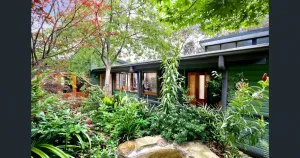 Image of The Black Cockatoo - Secret Garden Treetops Home