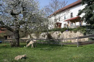Image of Holiday apartment Camburg for 1 - 4 persons with 1 bedroom - Holiday house