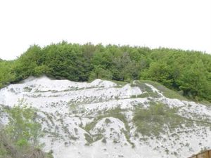 Image of Ferienwohnungen Blum