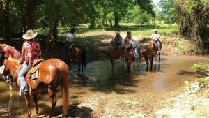 Image of Your own private log cabin on a 1155 acre ranch.