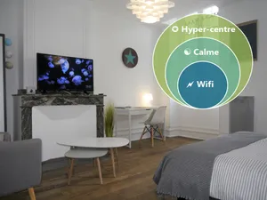 Image of Cozy Tarbes - Large T2 - Hyper center
