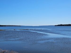 Image of ✮ OCEAN-VIEW, SPACIOUS Apt - Acadia National Park, Bar Harbor, MDI, Ellsworth ✮