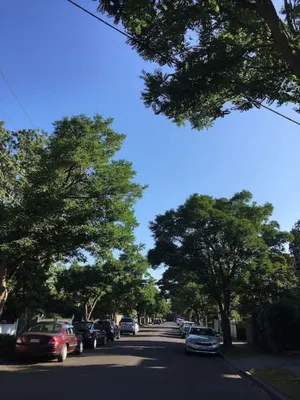 Image of Chic Malvern Retreat, Ideal for Study, Relaxation, Fun