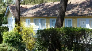 Image of In the middle of the pines, attractive apartment for 2 - 4 people
