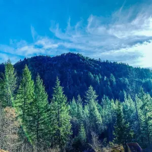 Image of Cozy Historic Cabin Near Hiking