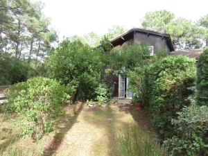 Image of Cottage 1  Lovely peaceful Cottages on golf course, 5min from sea, surf and lake