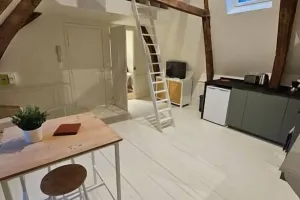 Image of Le perchoir, studio avec mezzanine