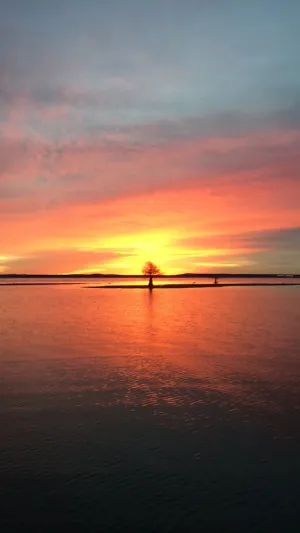 Image of One of the best views of the lake on Toledo Bend…least thats what our guests say