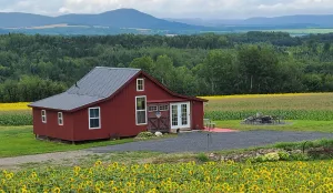 Image of Mountain View Cabins #2