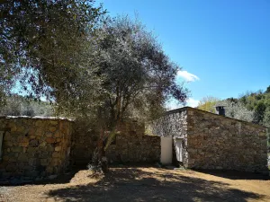 Image of Old stone sheepfold completely renovated 2 steps from Corte