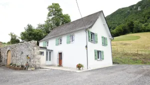Image of Lauseig