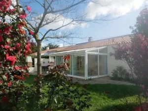 Image of La grande vigne de Boisvinet